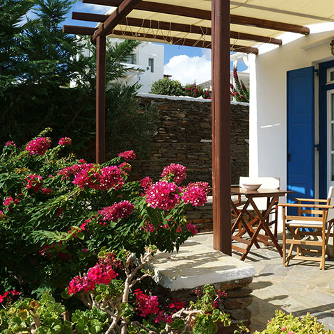 A yard with bougainvillea