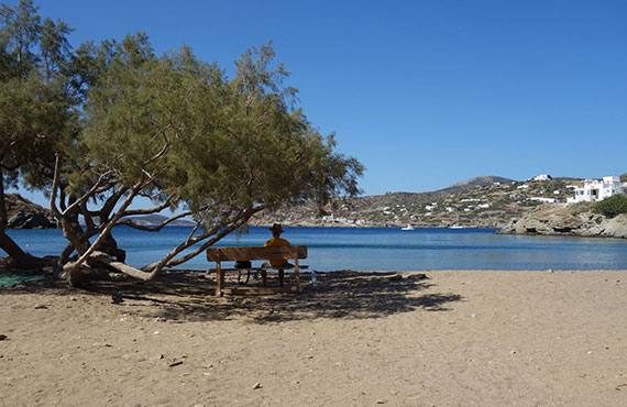 Παραλία Φασολού στη Σίφνο