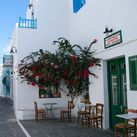 Apollonia Sifnos